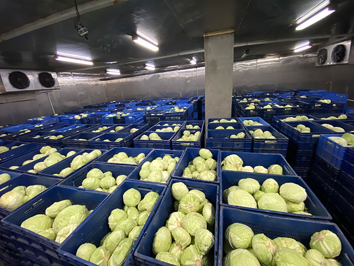 About 60MT of cabbages arrived at the NPHC