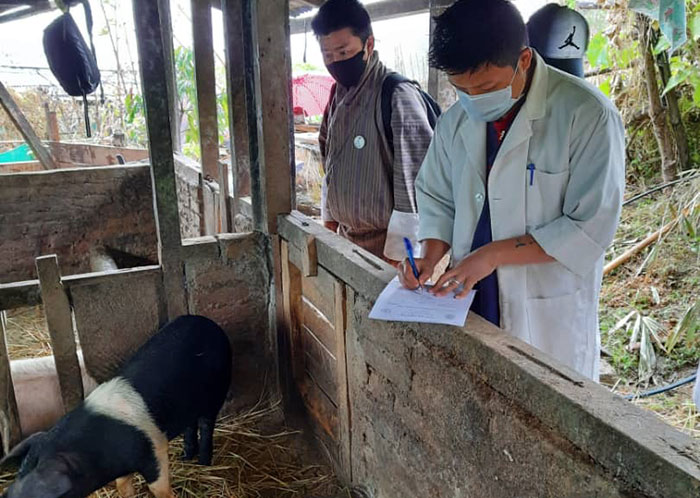   Joint inspection: Veterinarians and livestock officials at the affected farm in Dorokha C village  