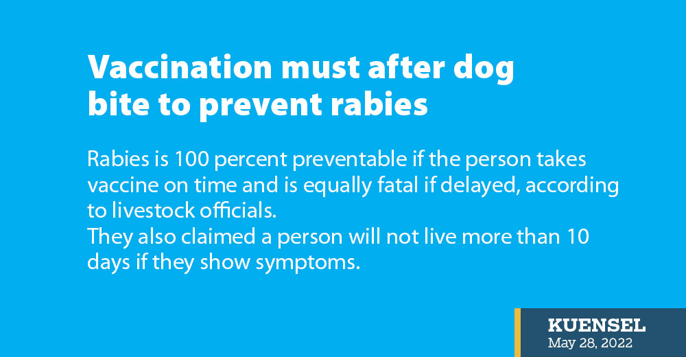 what happens if dog is not vaccinated
